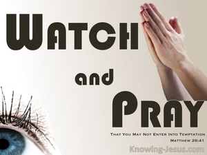 Matthew 26:41